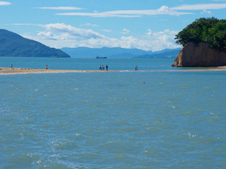 フォトコンテスト