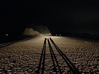 フォトコンテスト