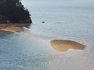 フォトコンテスト