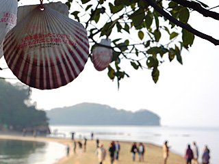 フォトコンテスト