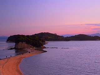 フォトコンテスト