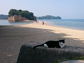 フォトコンテスト