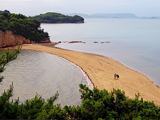 フォトコンテスト