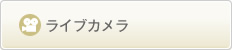 ライブカメラ