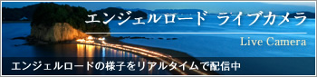 ライブカメラ