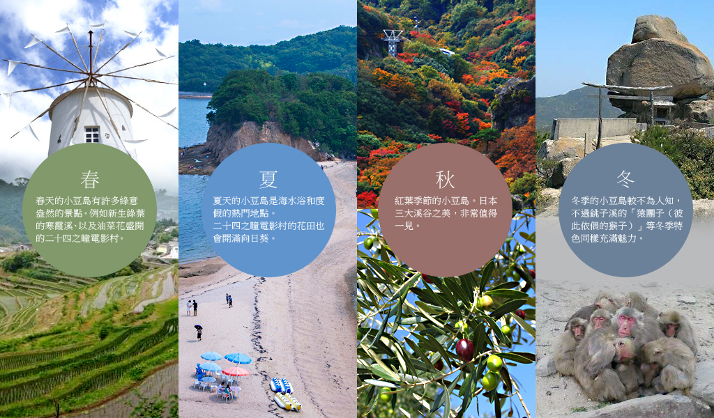 Welcome to Shodoshima