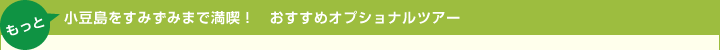 小豆島をすみずみまで満喫！おすすめオプショナルツアー