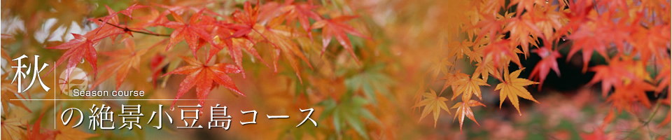 秋の絶景小豆島コース