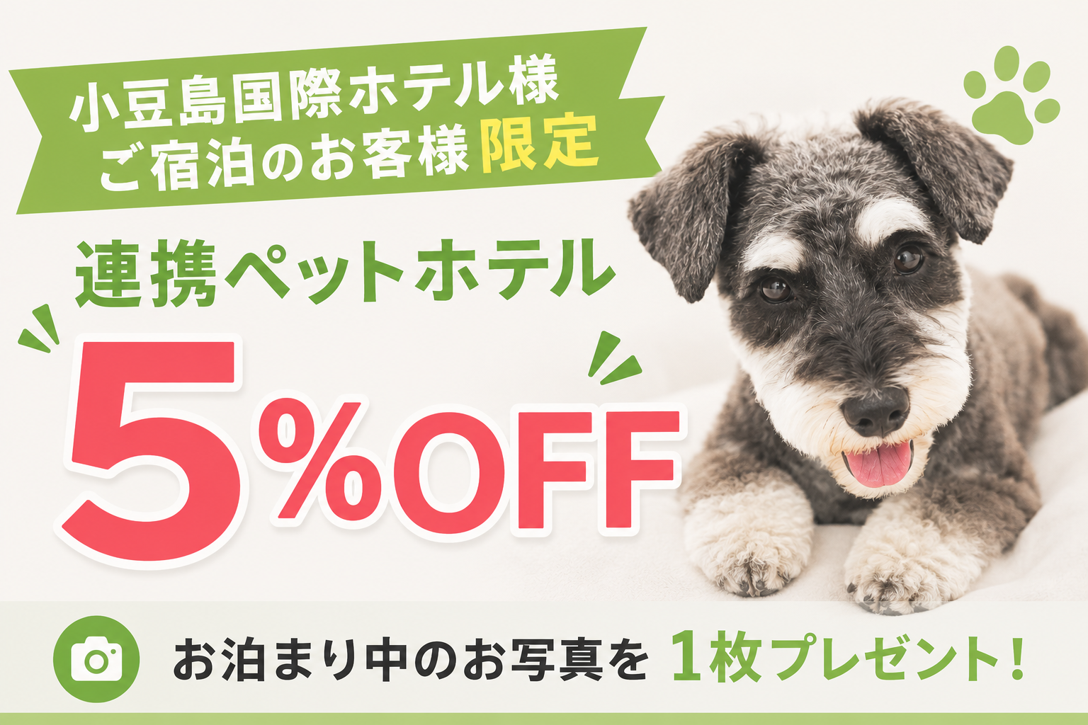 小豆島国際ホテルご宿泊のお客様限定 連携ペットホテル5％OFFキャンペーン。お泊まり中のお写真を1枚プレゼント 詳しくはこちら