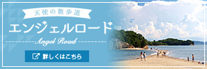 天使の舞い降りる場所 エンジェルロード